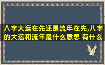 八字大运在先还是流年在先,八字的大运和流年是什么意思 有什么区别